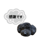 クロ グレー（個別スタンプ：21）