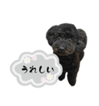 クロ グレー（個別スタンプ：22）