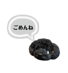 クロ グレー（個別スタンプ：30）