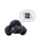 クロ グレー（個別スタンプ：31）