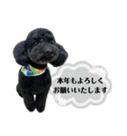 クロ グレー（個別スタンプ：39）