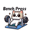 筋トレCats（個別スタンプ：5）