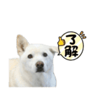 えーくすんのスタンプ（個別スタンプ：5）
