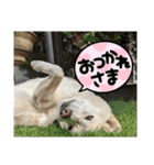 えーくすんのスタンプ（個別スタンプ：8）