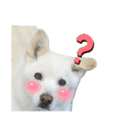 えーくすんのスタンプ（個別スタンプ：9）