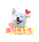 えーくすんのスタンプ（個別スタンプ：19）