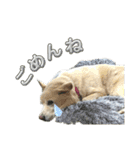 えーくすんのスタンプ（個別スタンプ：21）