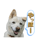 えーくすんのスタンプ（個別スタンプ：24）