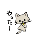 おめめまんまるねこ（個別スタンプ：9）