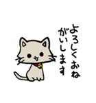 おめめまんまるねこ（個別スタンプ：11）