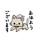 おめめまんまるねこ（個別スタンプ：13）