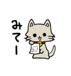 おめめまんまるねこ（個別スタンプ：18）