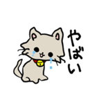 おめめまんまるねこ（個別スタンプ：21）