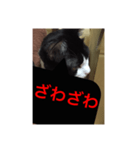 ねこ✖️猫✖️ネコ✖️ネゴっ！パート4（個別スタンプ：3）