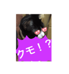 ねこ✖️猫✖️ネコ✖️ネゴっ！パート4（個別スタンプ：10）