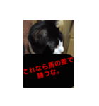 ねこ✖️猫✖️ネコ✖️ネゴっ！パート4（個別スタンプ：18）