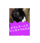 ねこ✖️猫✖️ネコ✖️ネゴっ！パート4（個別スタンプ：23）