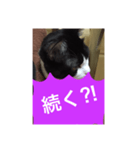 ねこ✖️猫✖️ネコ✖️ネゴっ！パート4（個別スタンプ：32）