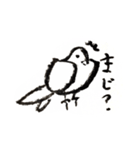 いつもそばにいる鳥、鳩のスタンプ第二弾！（個別スタンプ：5）