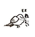 いつもそばにいる鳥、鳩のスタンプ第二弾！（個別スタンプ：11）