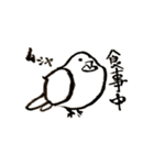 いつもそばにいる鳥、鳩のスタンプ第二弾！（個別スタンプ：22）