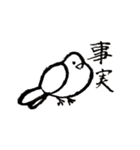 いつもそばにいる鳥、鳩のスタンプ第二弾！（個別スタンプ：29）