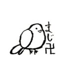 いつもそばにいる鳥、鳩のスタンプ第二弾！（個別スタンプ：31）