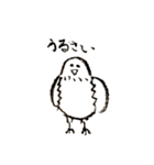 いつもそばにいる鳥、鳩のスタンプ第二弾！（個別スタンプ：37）