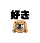しば犬ぽんたくん（個別スタンプ：23）