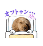 ジーニーのスタンプぅ〜（個別スタンプ：6）