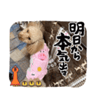 ジーニーのスタンプぅ〜（個別スタンプ：8）