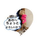 ジーニーのスタンプぅ〜（個別スタンプ：9）