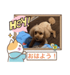 ジーニーのスタンプぅ〜（個別スタンプ：12）