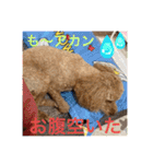 ジーニーのスタンプぅ〜（個別スタンプ：14）