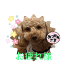 ジーニーのスタンプぅ〜（個別スタンプ：16）