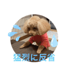 ジーニーのスタンプぅ〜（個別スタンプ：20）