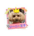 ジーニーのスタンプぅ〜（個別スタンプ：24）