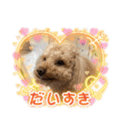 ジーニーのスタンプぅ〜（個別スタンプ：25）