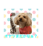 ジーニーのスタンプぅ〜（個別スタンプ：27）