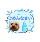 ジーニーのスタンプぅ〜（個別スタンプ：28）