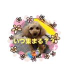 ジーニーのスタンプぅ〜（個別スタンプ：36）