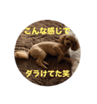 ジーニーのスタンプぅ〜（個別スタンプ：39）