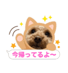 ジーニーのスタンプぅ〜（個別スタンプ：40）