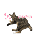 わ〜〜いなっちゃんだよ〜〜（個別スタンプ：15）