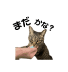 わ〜〜いなっちゃんだよ〜〜（個別スタンプ：30）