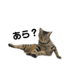 わ〜〜いなっちゃんだよ〜〜（個別スタンプ：32）