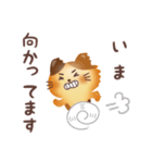 ぱんねこ 1（個別スタンプ：19）