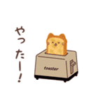 ぱんねこ 1（個別スタンプ：30）