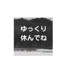 ツキミの写真deスタンプ（個別スタンプ：4）