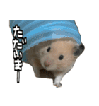 ジャム日記1！（個別スタンプ：2）